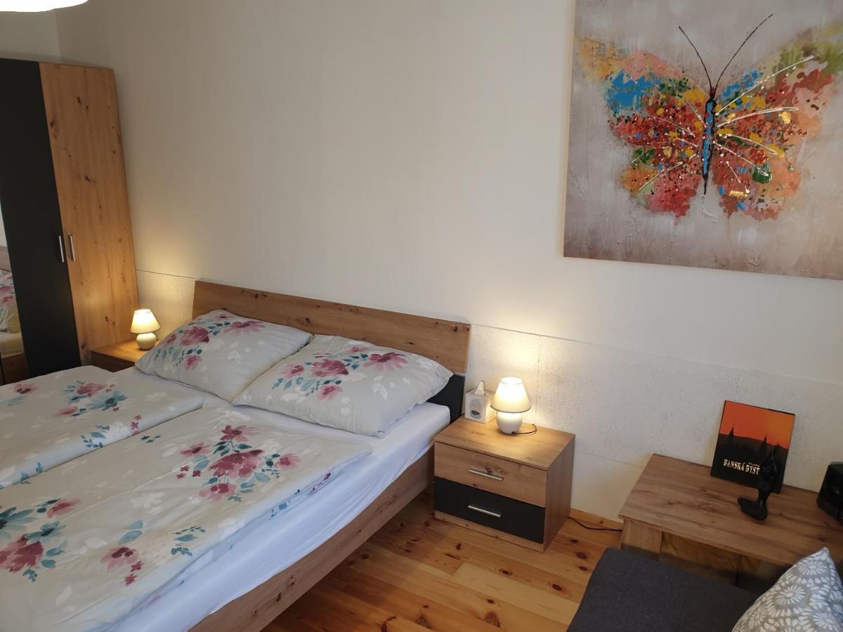 Apartman Central, Self Check In 24 H, Free Parking 班斯卡-比斯特里察 外观 照片